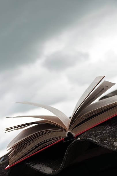 Найкращі книжки у жанрі БОЙОВА ФАНТАСТИКА  для прочитання - Читати блог (читати книги) Онлайн Українською Мовою Безкоштовно. Скачати книги у форматі PDF, EPUB, FB2 українською