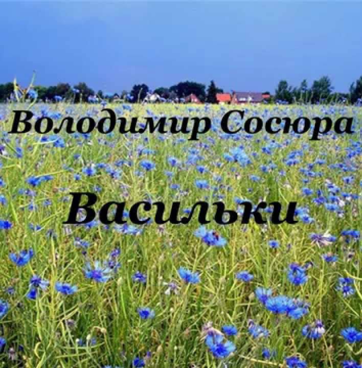 Васильки - Читати Книгу (читати книги) 📘 Онлайн Українською Мовою 💙💛 Безкоштовно. Скачати книги у форматі PDF, EPUB, FB2 українською