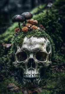 Живой, не живой, Alexandra Soroka - Читати Книгу (читати книги) 📘 Онлайн Українською Мовою 💙💛 Безкоштовно. Скачати книги у форматі PDF, EPUB, FB2 українською
