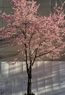 радіаційно забруднена, Rona - Читати Книгу (читати книги) Онлайн Українською Мовою Безкоштовно. Скачати книги у форматі PDF, EPUB, FB2 українською