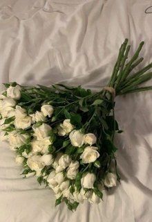 Так буває і це нормально , Safaya - Читати Книгу (читати книги) Онлайн Українською Мовою Безкоштовно. Скачати книги у форматі PDF, EPUB, FB2 українською