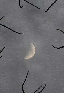 49, Moon Grey - Читати Книгу (читати книги) 📘 Онлайн Українською Мовою 💙💛 Безкоштовно. Скачати книги у форматі PDF, EPUB, FB2 українською