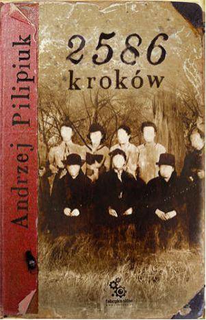 2586 кроків - Читати Книгу (читати книги) 📘 Онлайн Українською Мовою 💙💛 Безкоштовно. Скачати книги у форматі PDF, EPUB, FB2 українською
