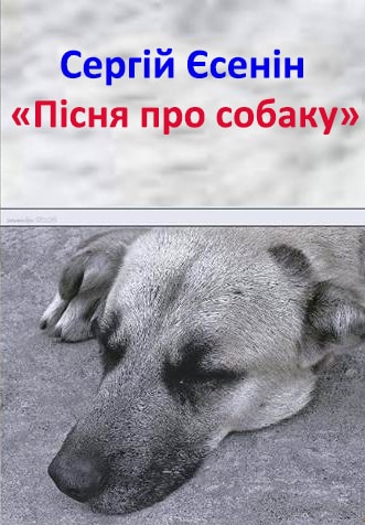 Пісня про собаку - Читати Книгу (читати книги) 📘 Онлайн Українською Мовою 💙💛 Безкоштовно. Скачати книги у форматі PDF, EPUB, FB2 українською