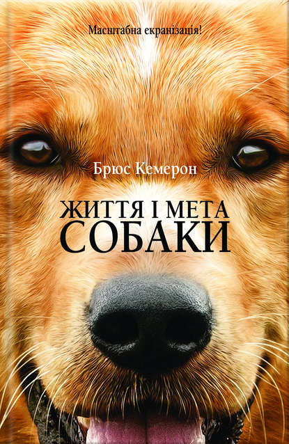Життя і мета собаки - Читати Книгу (читати книги) 📘 Онлайн Українською Мовою 💙💛 Безкоштовно. Скачати книги у форматі PDF, EPUB, FB2 українською