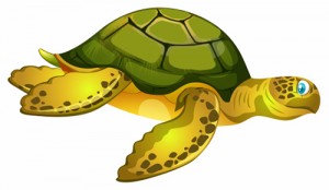 Звідки взялися морські черепахи?, Еліна Заржицька - Читати Книгу (читати книги) 📘 Онлайн Українською Мовою 💙💛 Безкоштовно. Скачати книги у форматі PDF, EPUB, FB2 українською