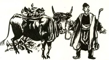 Ліве око царя, болгарська казка - Читати Книгу (читати книги) 📘 Онлайн Українською Мовою 💙💛 Безкоштовно. Скачати книги у форматі PDF, EPUB, FB2 українською